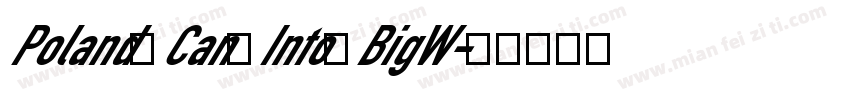 Poland Can Into BigW字体转换